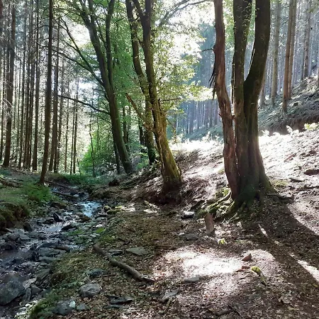 Le Refuge D'engreux Guest house Houffalize