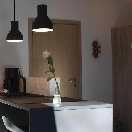 Le Refuge D'engreux Guest house