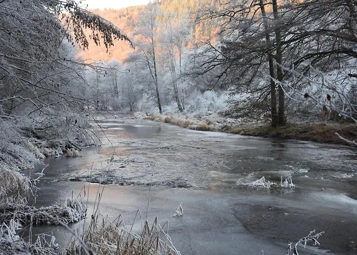 Le Refuge D'engreux Guest house