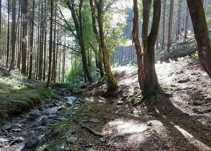 Le Refuge D'engreux Guest house Houffalize